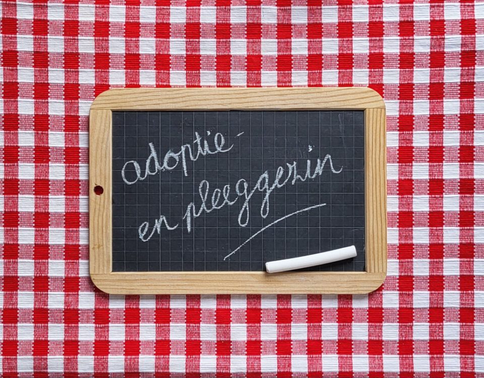 Aan tafel met adoptie- en pleeggezinnen