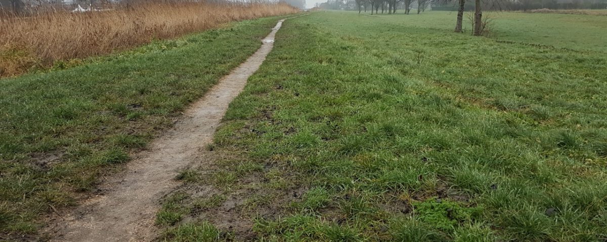 Nazorg verlenen met een wandeling