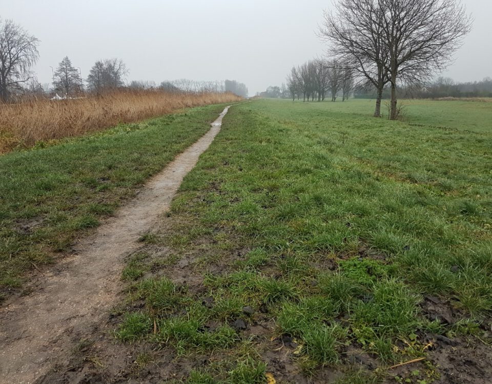 Nazorg verlenen met een wandeling